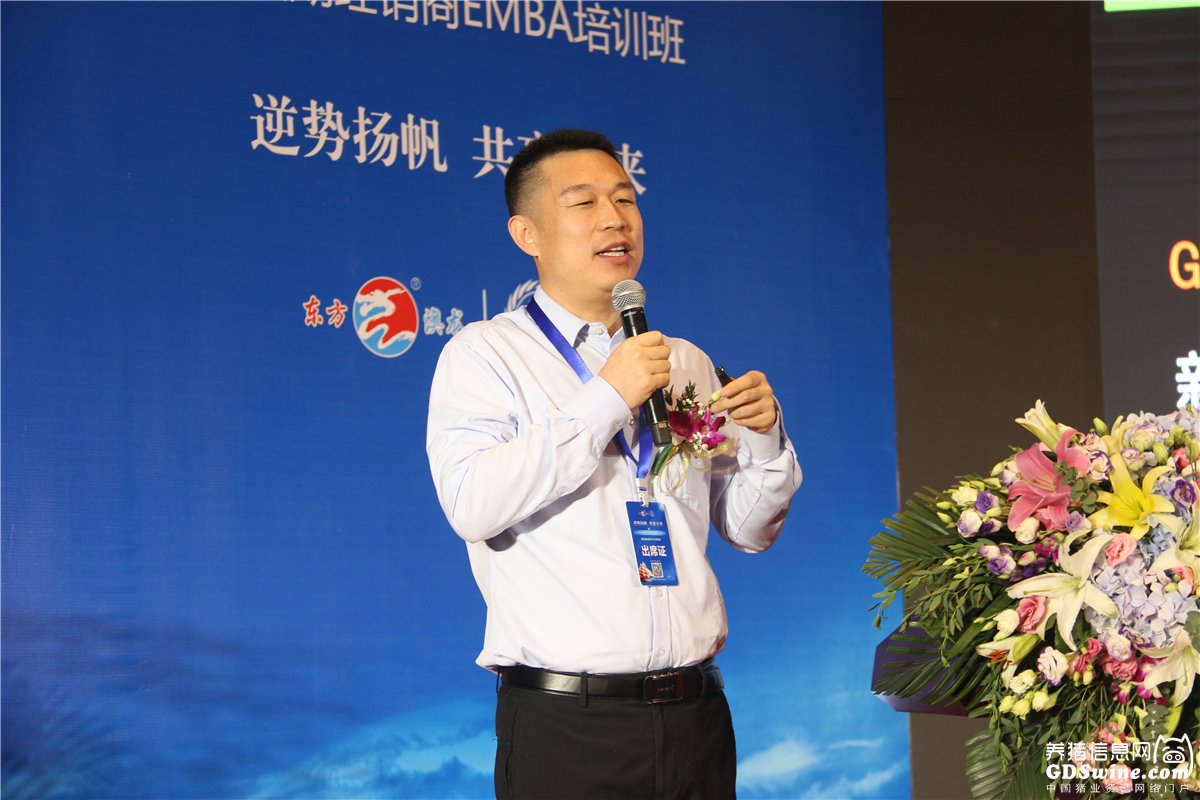 击剑赛场再起风云：海滨风暴队击败泰山烈马队，脚步移动更到位争冠格局再洗牌的简单介绍