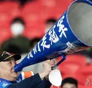 武汉三镇vs成都蓉城