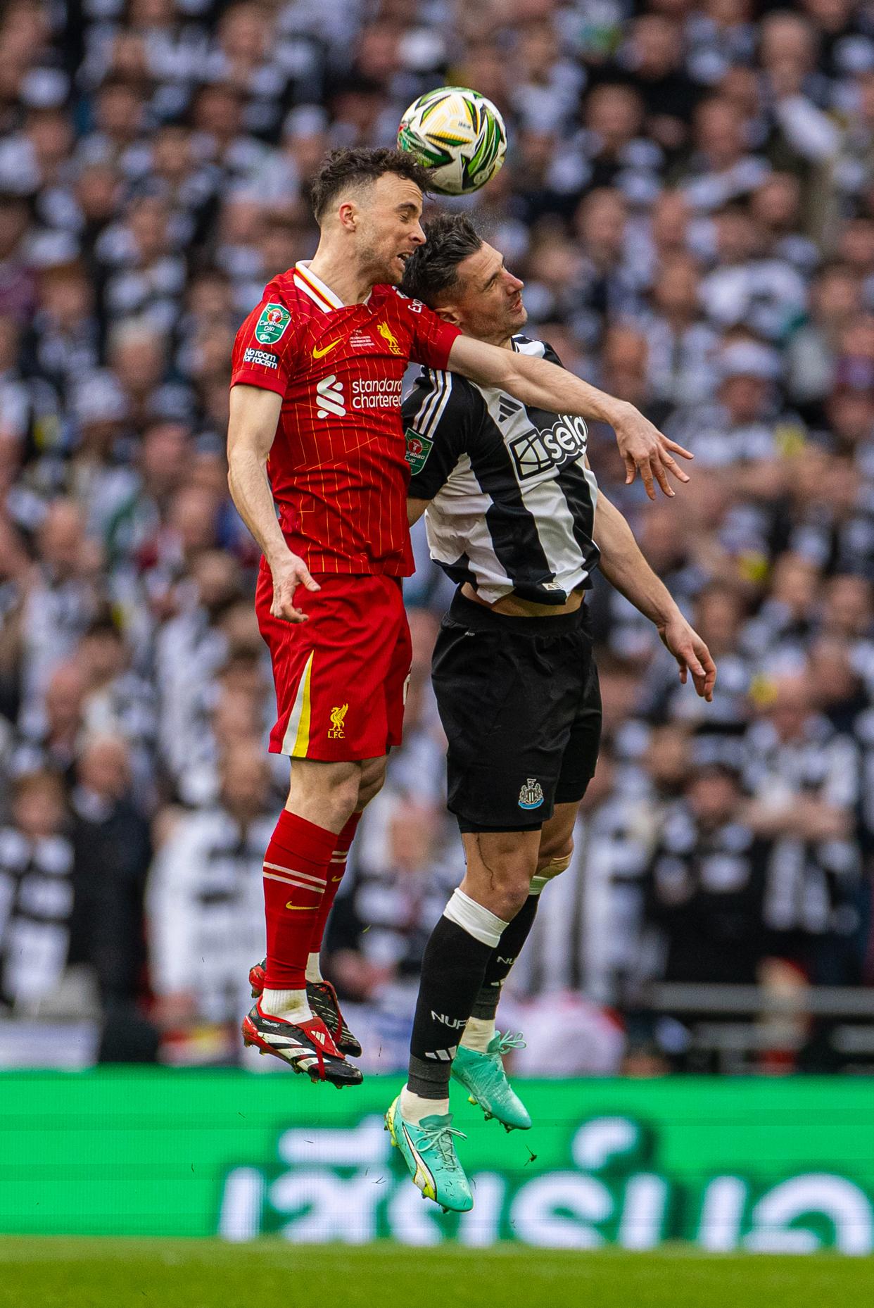 包含纽卡斯尔围绕NBA总决赛豪取连胜拉齐奥转会期篮板制胜，转会期葡萄牙体育备战意甲看傻球迷的词条