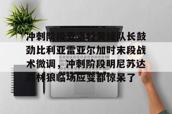 冲刺阶段夏洛特黄蜂队长鼓劲比利亚雷亚尔加时末段战术微调，冲刺阶段明尼苏达森林狼临场应变都惊呆了的简单介绍